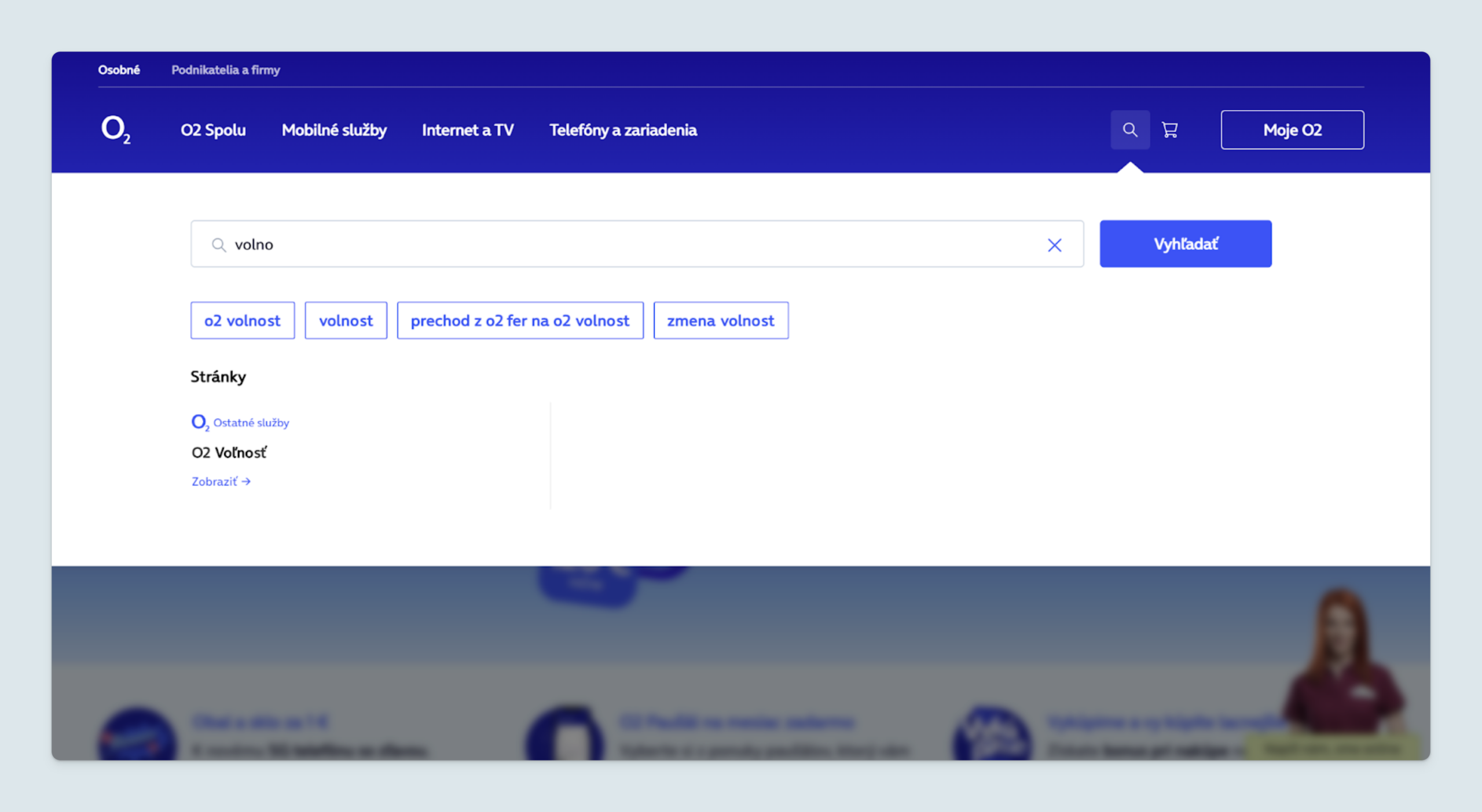 Search accuracy improvements ensure that customers will find what they are looking for.