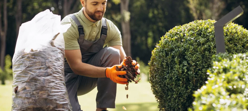 Como o Preenchimento Automático e Filtros de Busca Ajudaram a Aumentar a Receita da Uni Hobby em 8%