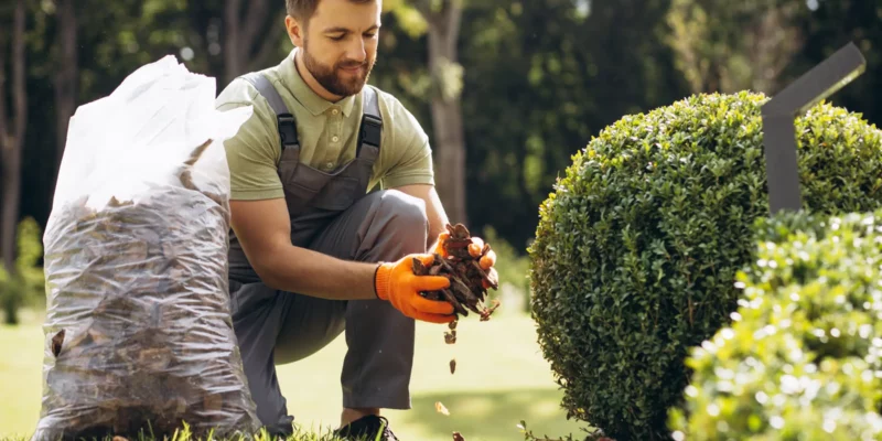 Como o Preenchimento Automático e Filtros de Busca Ajudaram a Aumentar a Receita da Uni Hobby em 8%