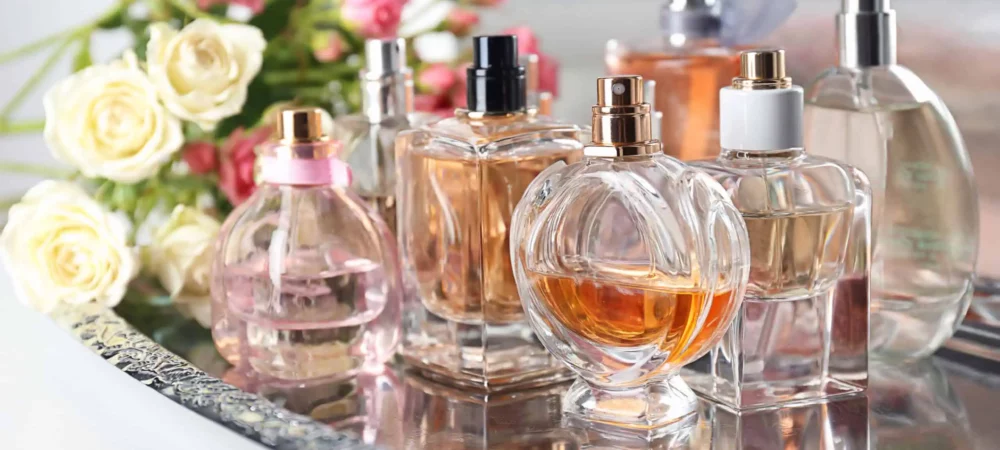 TagoMago e Perfumeria Renovaram Seus Sites com 82% e 108% Acima da Média de Uso de Busca