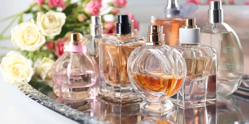 TagoMago e Perfumeria Renovaram Seus Sites com 82% e 108% Acima da Média de Uso de Busca